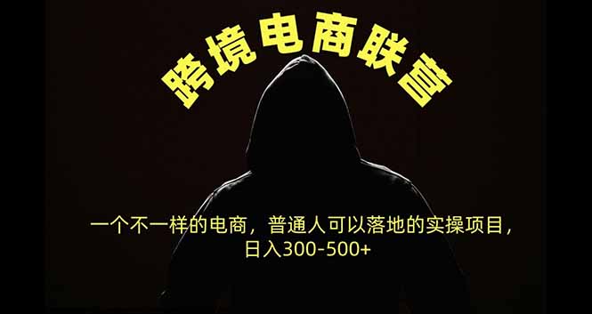 跨境电商联营,一个不一样的电商,普通人可操作日入300-500+-站长V课