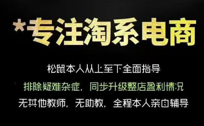 松鼠会电商VIP课程，从基础布局到高阶优化，助你掌握淘宝运营逻辑，提升店铺流量与转化(更新1015)-站长V课