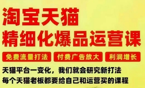 淘宝天猫精细化爆品运营课,免费流量打法-付费广告放大-利润增长-三大核心痛点,一次全部解决